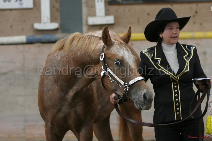 HE-Halter_040.jpg