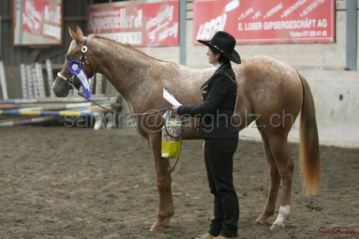 HE-Halter_042.jpg