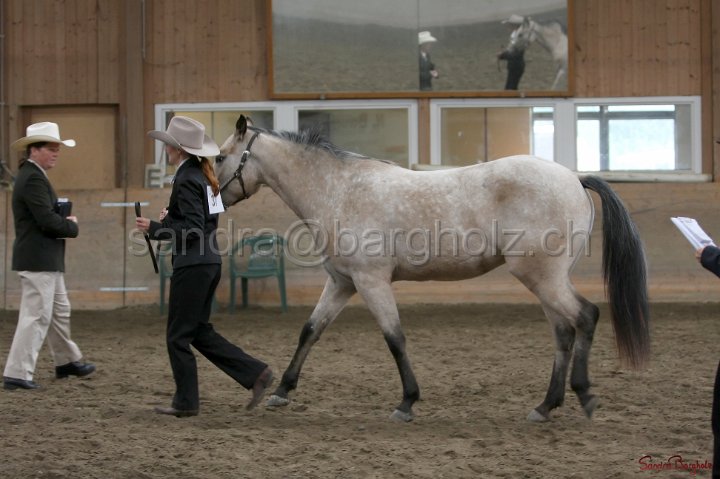 HE-Halter_044.jpg