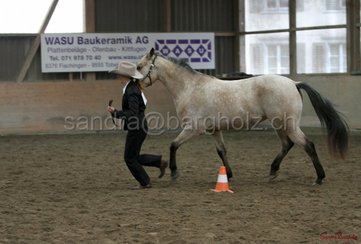 HE-Halter_045.jpg
