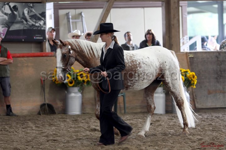 HE-Halter_050.jpg