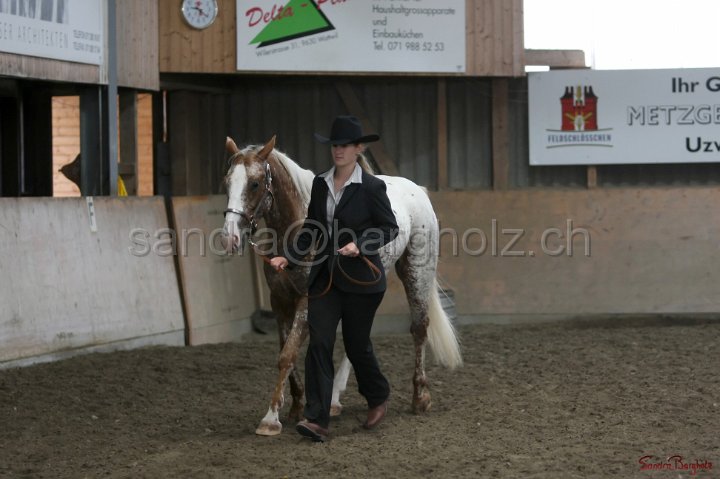 HE-Halter_052.jpg