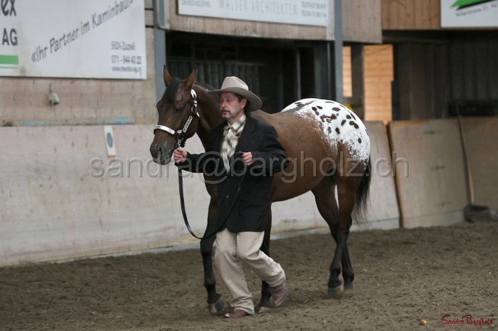 HE-Halter_053.jpg