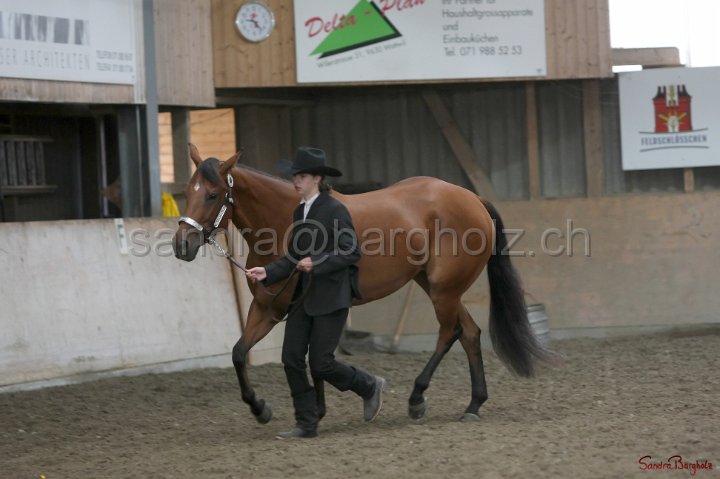 HE-Halter_054.jpg