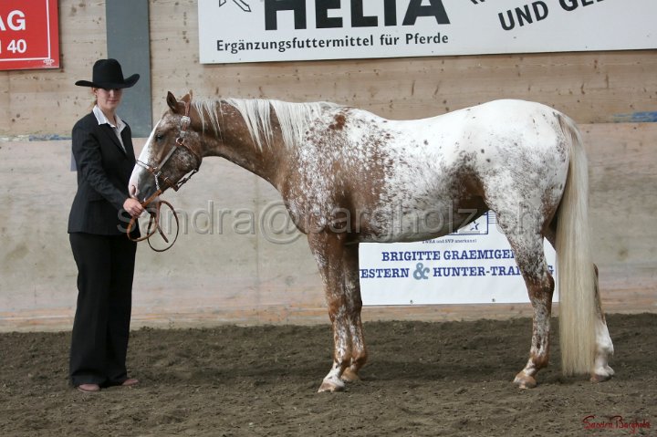 HE-Halter_055.jpg