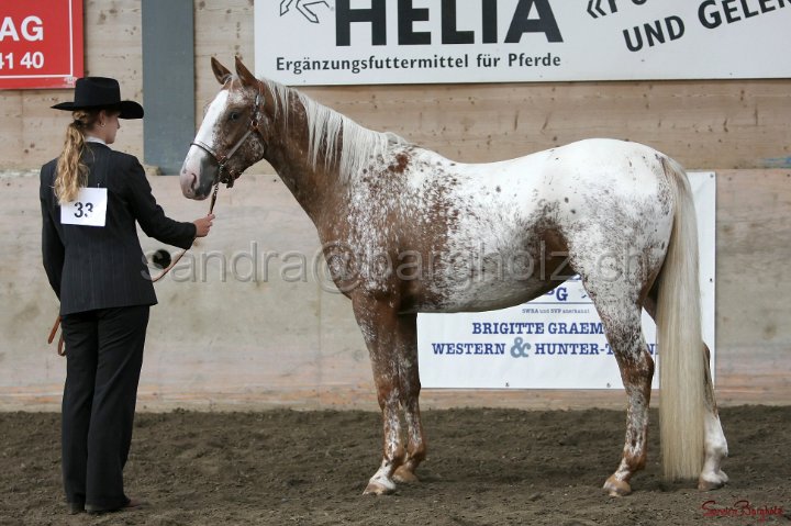 HE-Halter_056.jpg