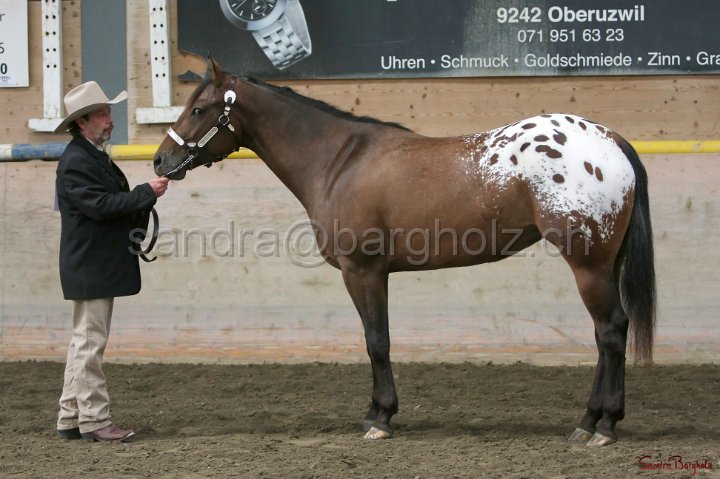 HE-Halter_057.jpg