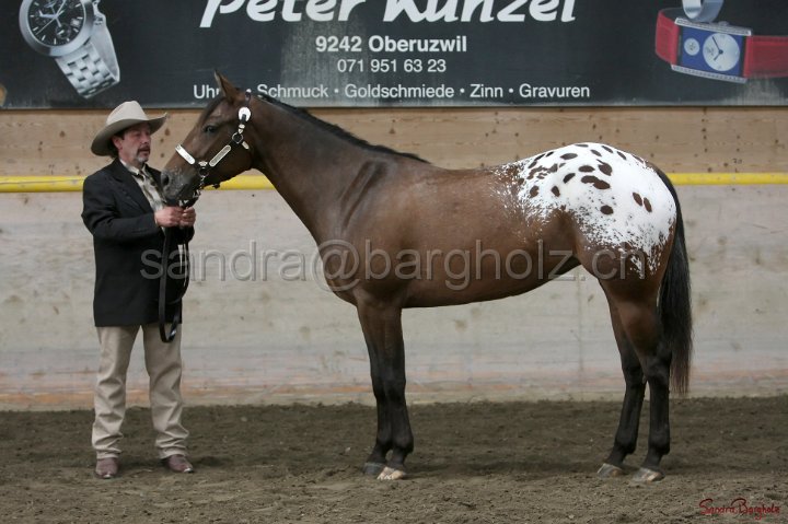 HE-Halter_058.jpg