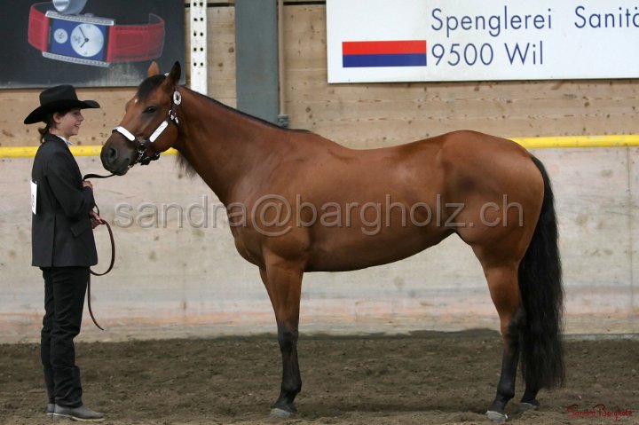 HE-Halter_059.jpg