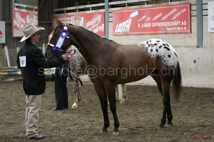 HE-Halter_063.jpg