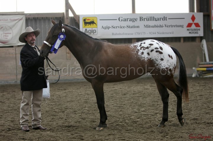 HE-Halter_064.jpg