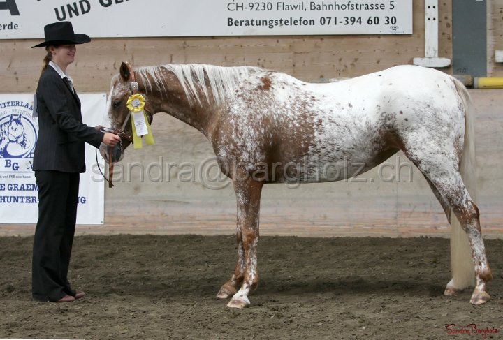 HE-Halter_065.jpg
