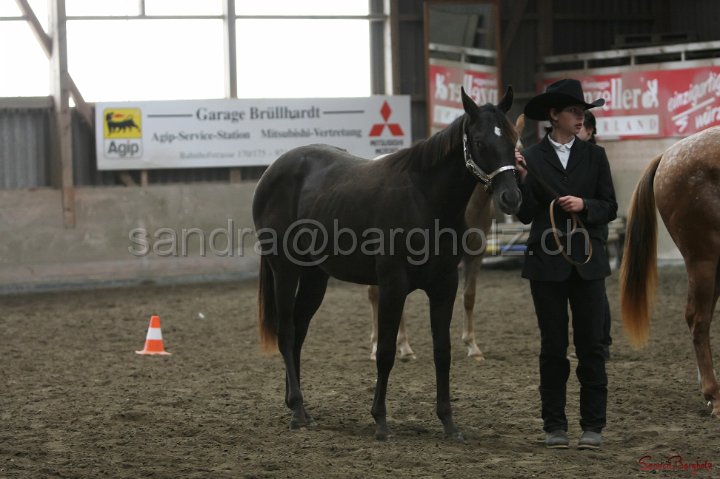 HE-Halter_069.jpg