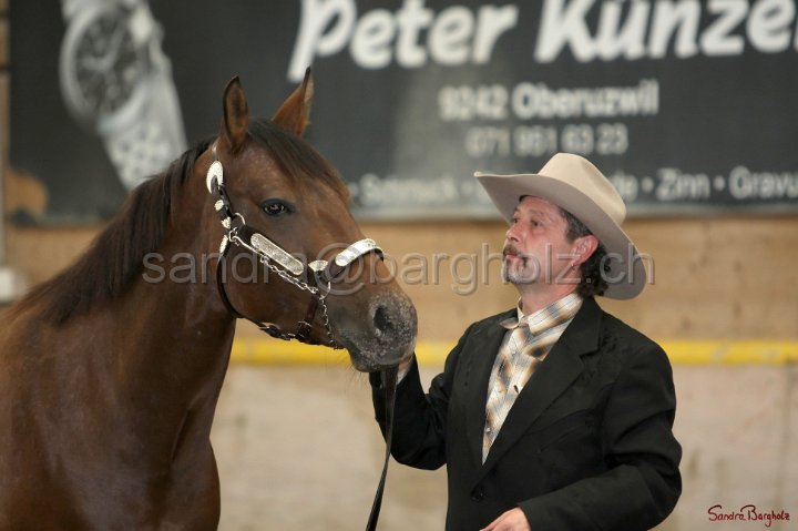 HE-Halter_072.jpg