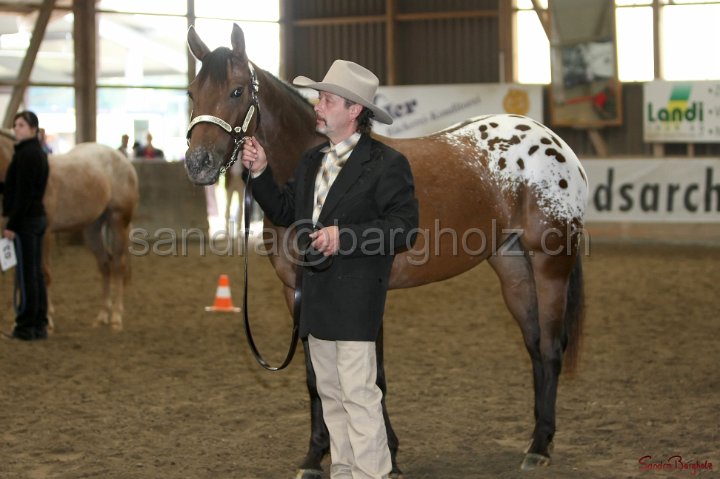 HE-Halter_073.jpg
