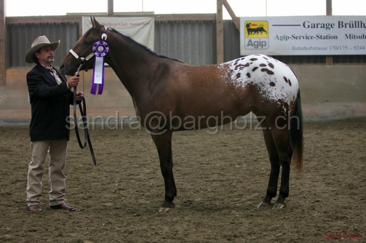 HE-Halter_076.jpg