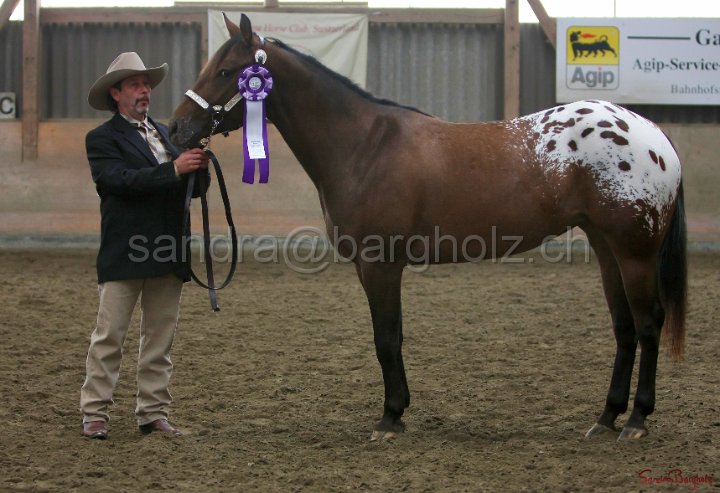 HE-Halter_078.jpg