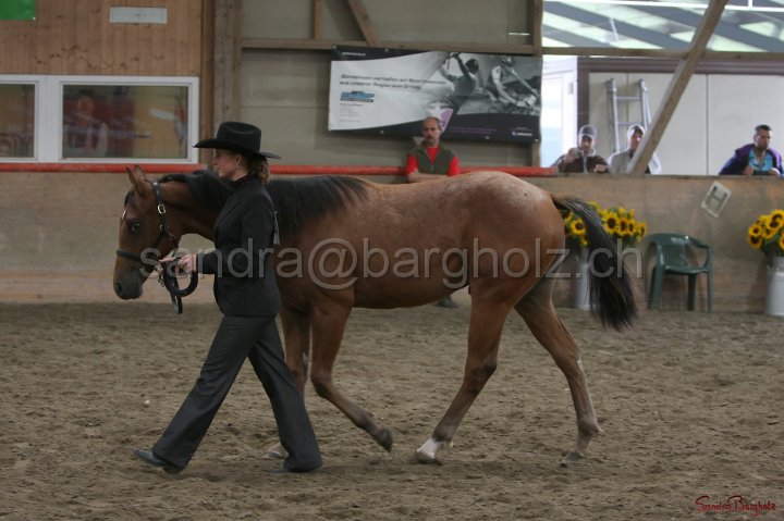 HE-Halter_081.jpg