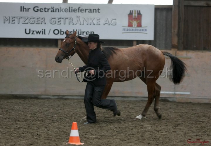 HE-Halter_082.jpg