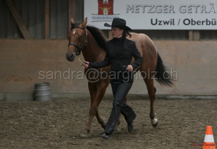 HE-Halter_083.jpg