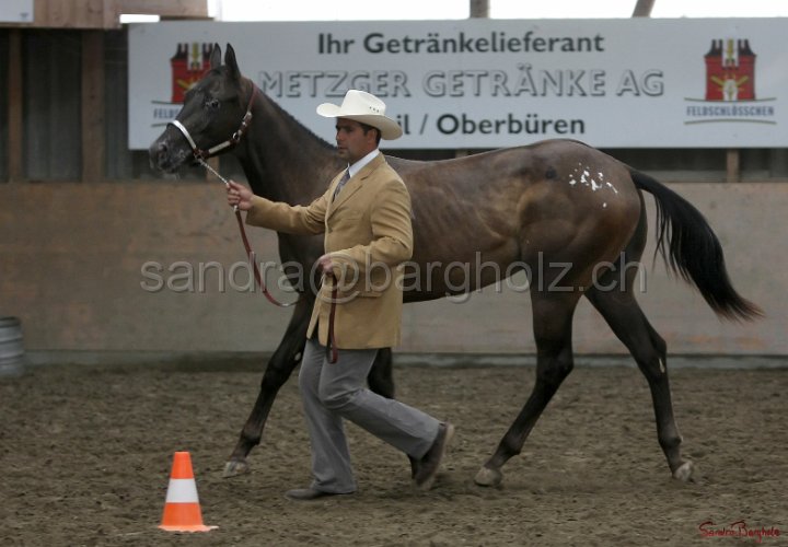 HE-Halter_085.jpg