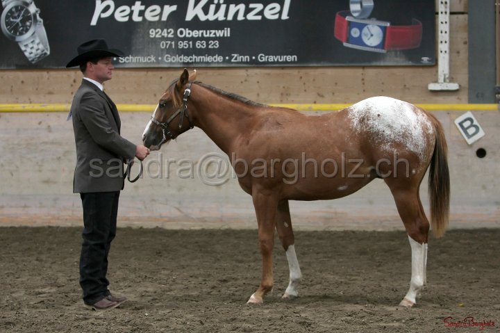 HE-Halter_087.jpg