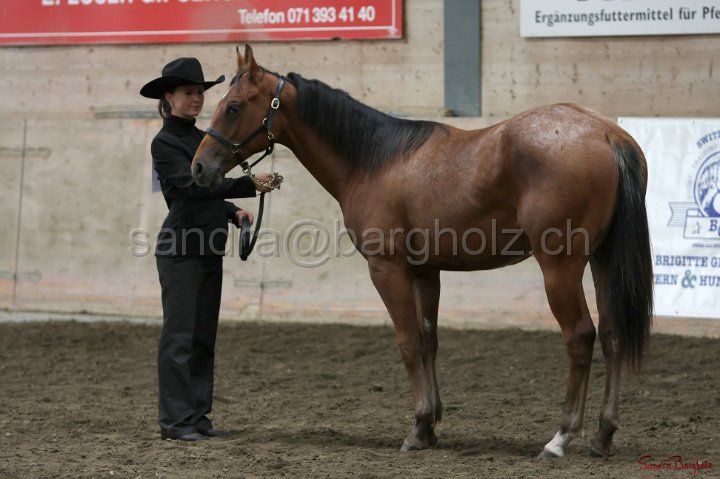 HE-Halter_088.jpg