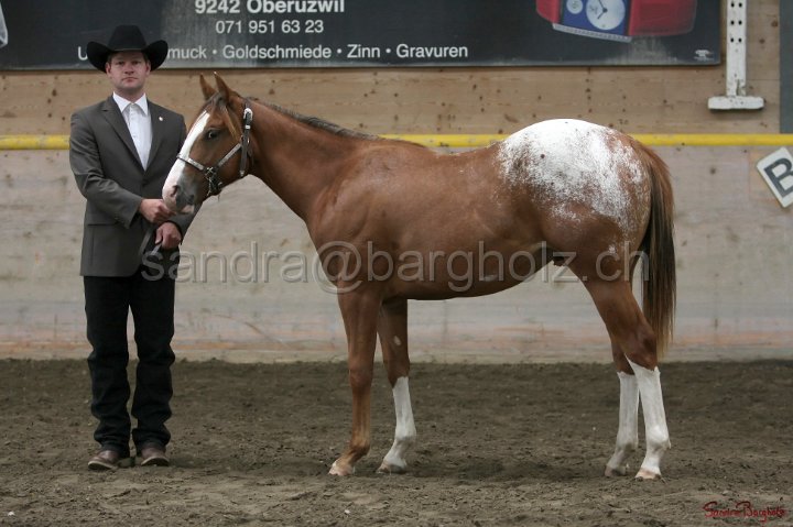 HE-Halter_090.jpg