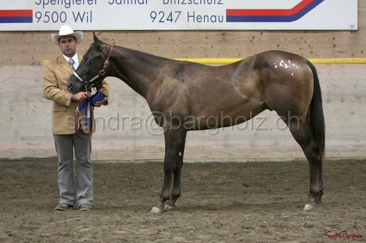 HE-Halter_097.jpg