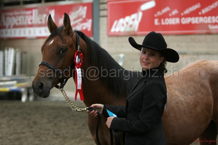 HE-Halter_098.jpg