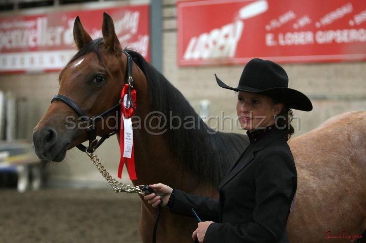 HE-Halter_100.jpg