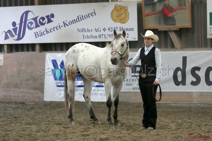 HE-Halter_101.jpg