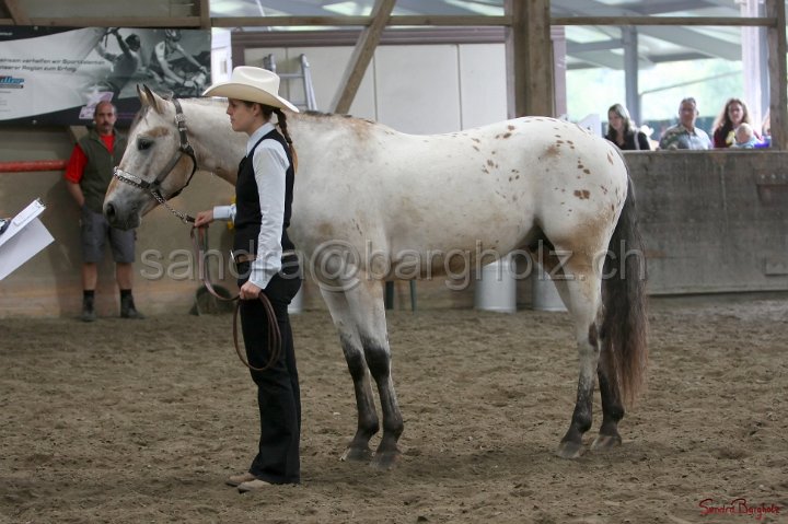 HE-Halter_102.jpg