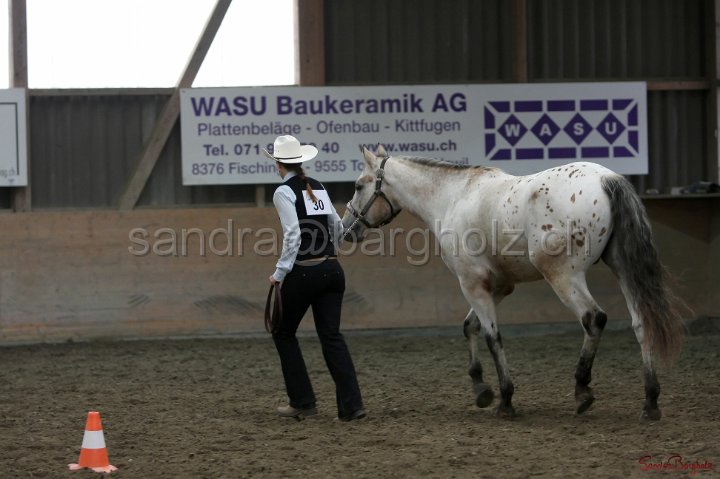 HE-Halter_103.jpg