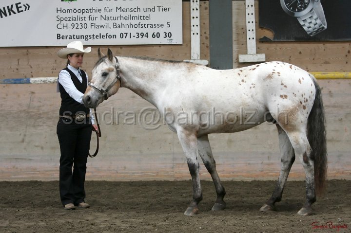 HE-Halter_105.jpg