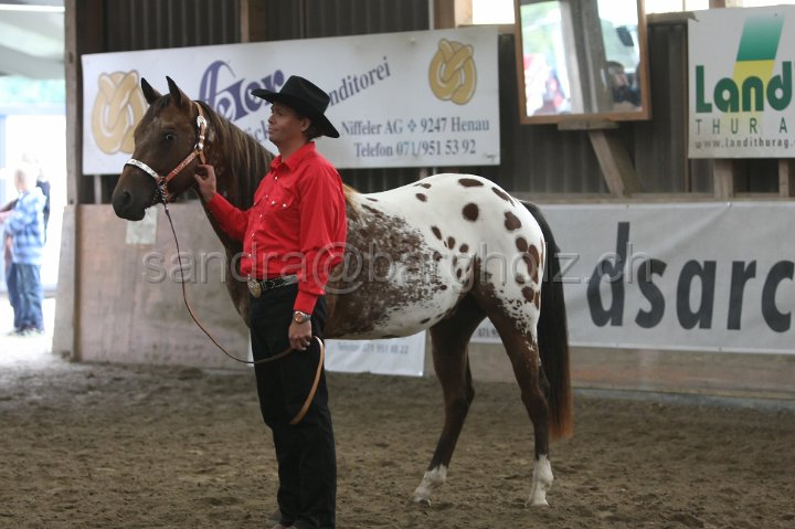 HE-Halter_115.jpg