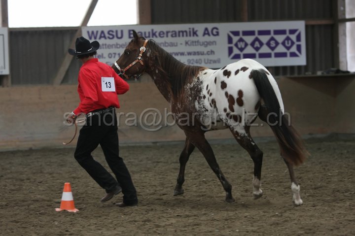 HE-Halter_116.jpg