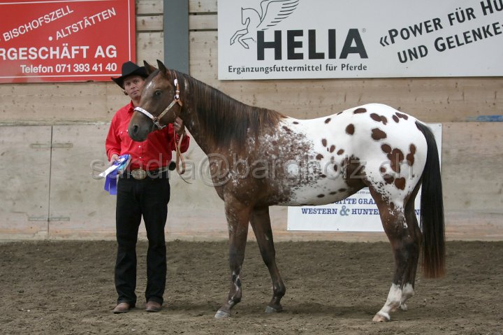 HE-Halter_118.jpg