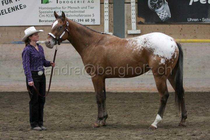 HE-Halter_123.jpg