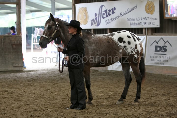 HE-Halter_125.jpg