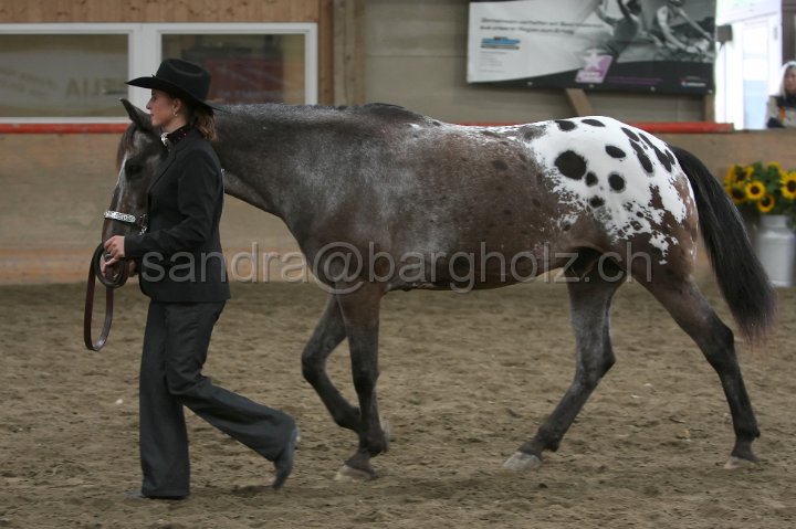 HE-Halter_126.jpg