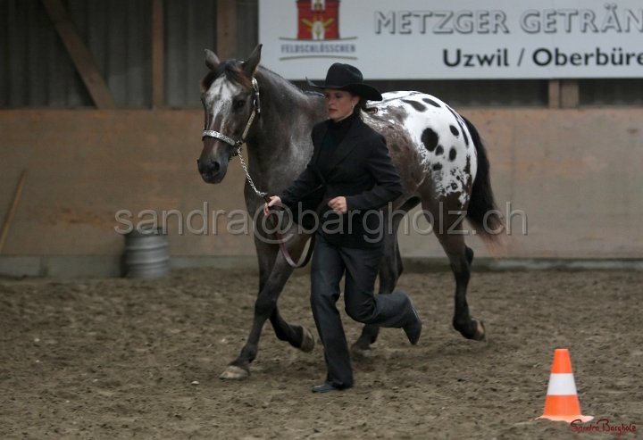 HE-Halter_128.jpg