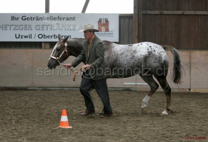 HE-Halter_129.jpg