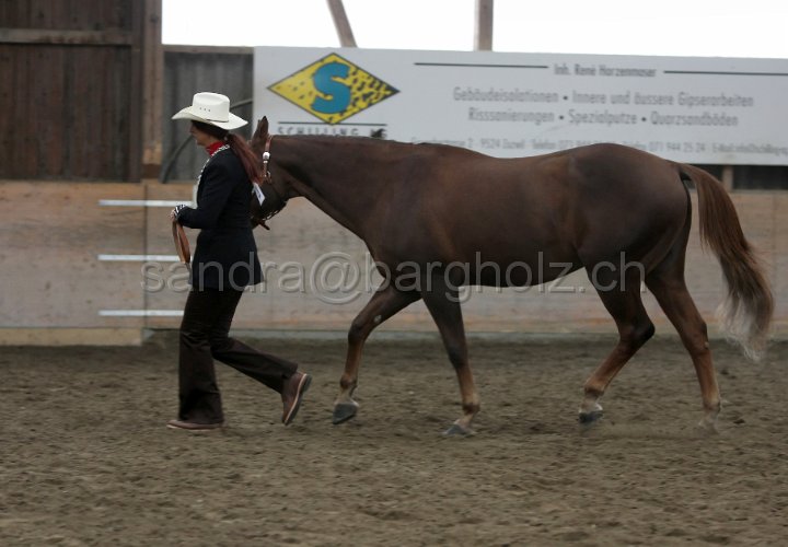 HE-Halter_131.jpg