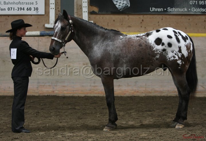 HE-Halter_132.jpg