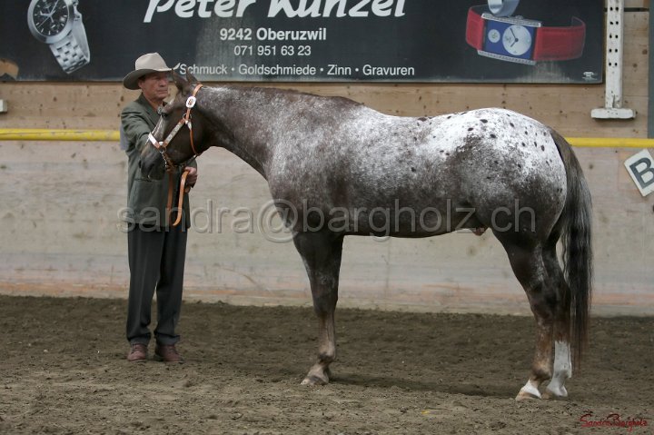 HE-Halter_135.jpg