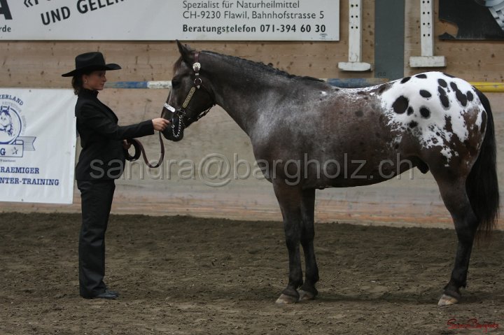 HE-Halter_136.jpg