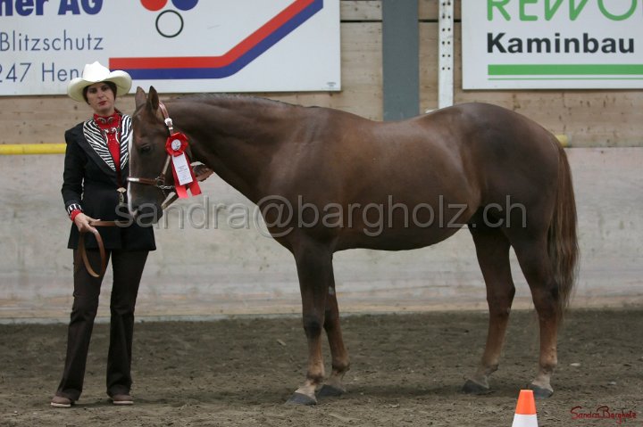 HE-Halter_139.jpg
