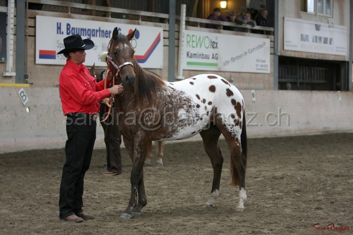 HE-Halter_141.jpg