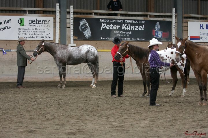 HE-Halter_142.jpg
